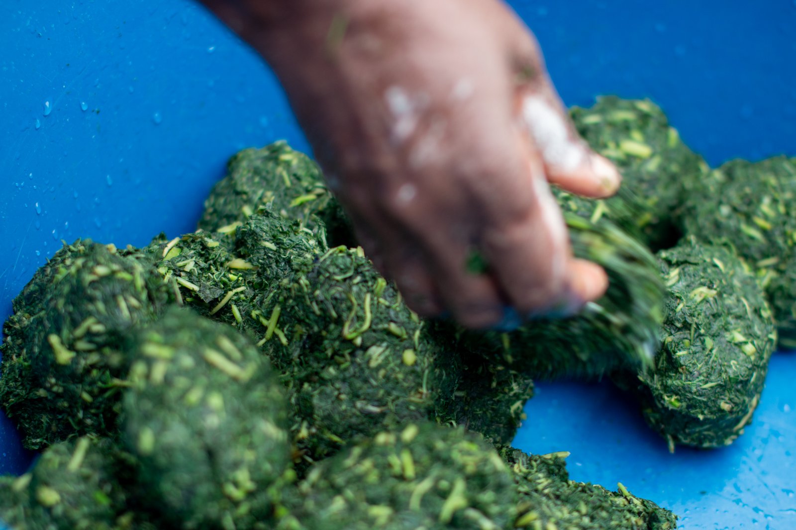 Fresh leafy ingredients being shaped by hand